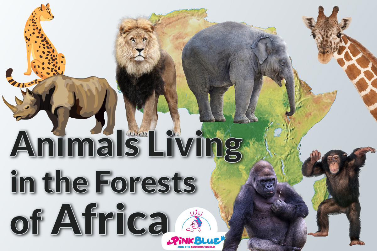 Famous Animals Living in the Forests of Africa